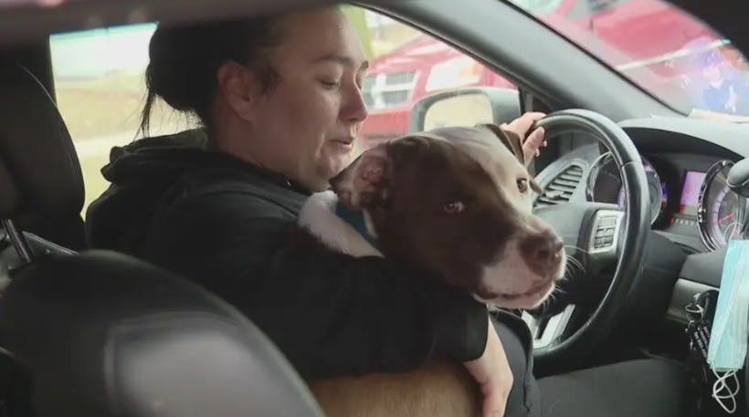 Family Dog Helps Firefighters Find Baby